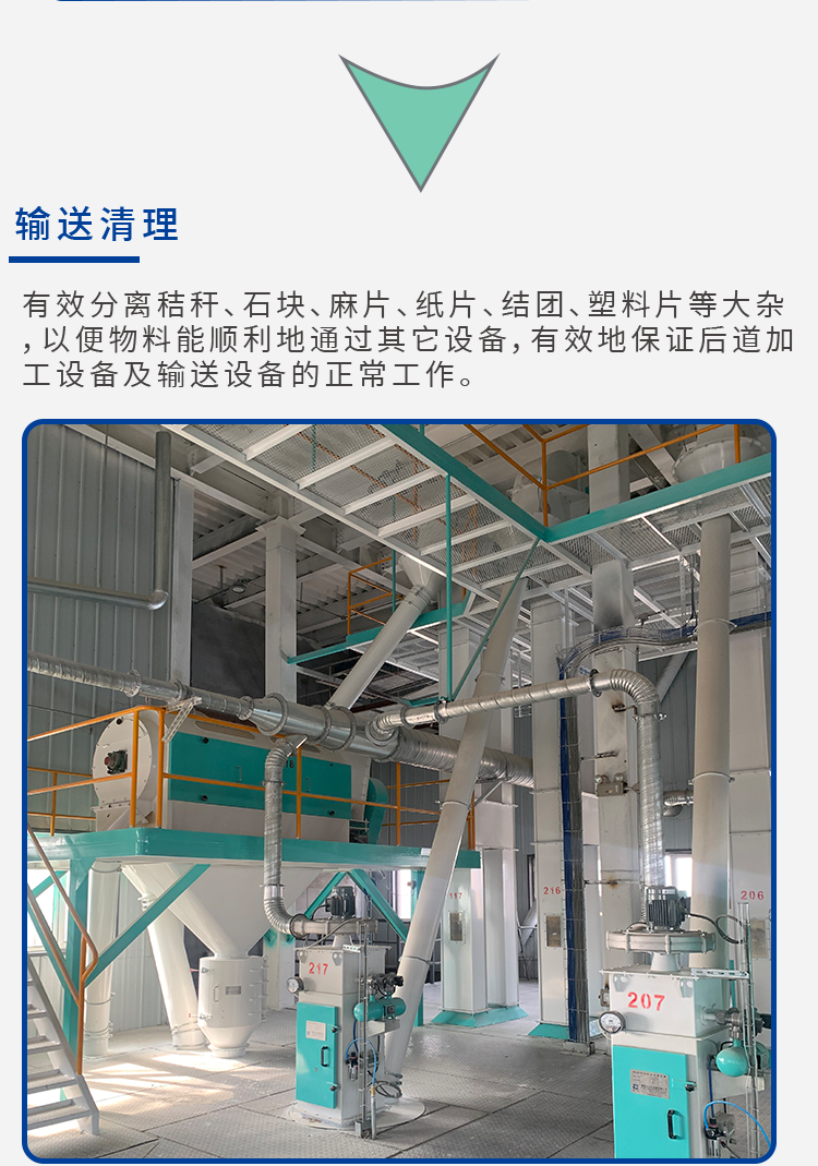 反芻飼料解決方案_03.png