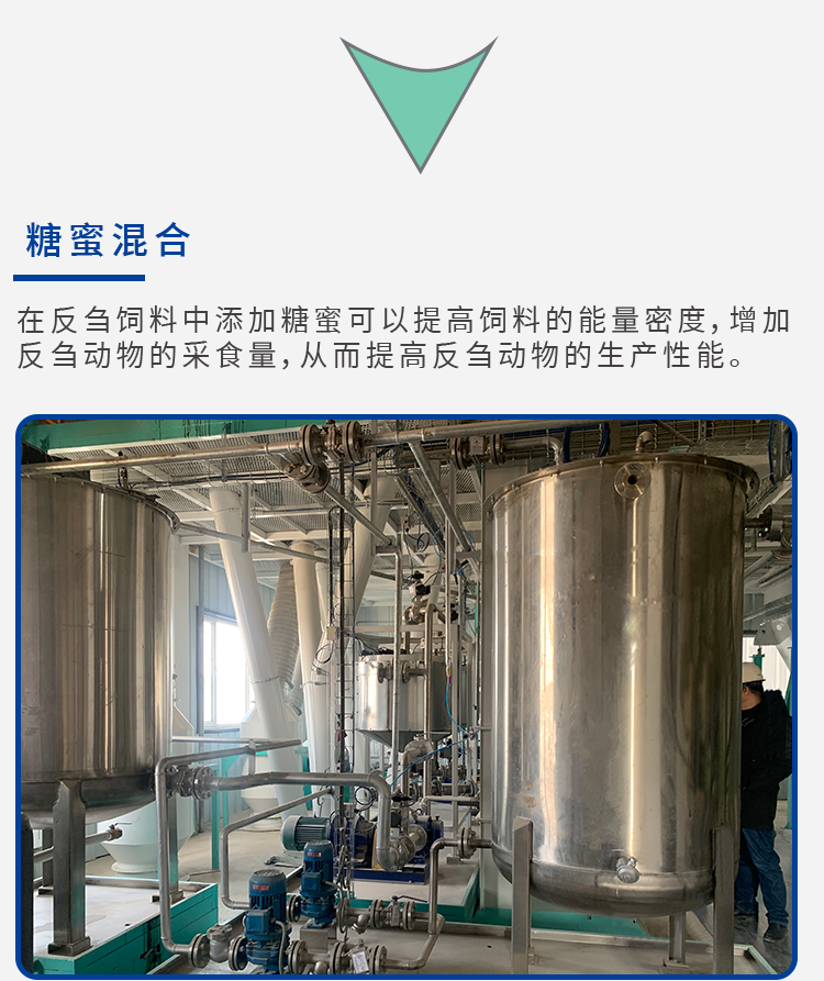 反芻飼料解決方案_07.png