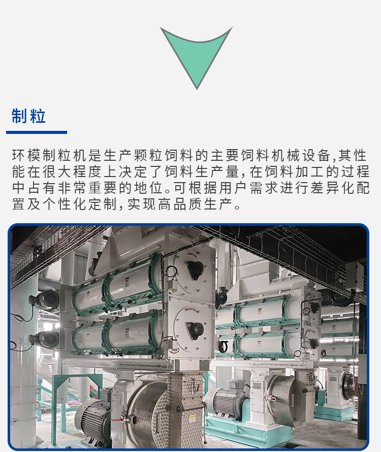 反芻飼料解決方案_08.png