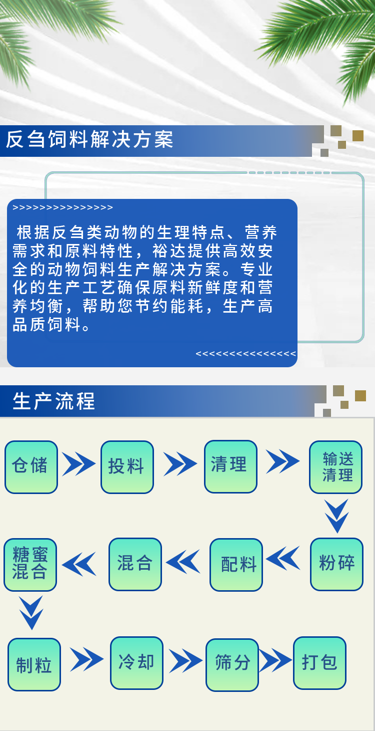 反芻飼料解決方案_01.png