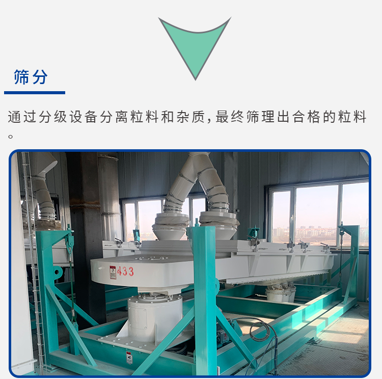 反芻飼料解決方案_10.png